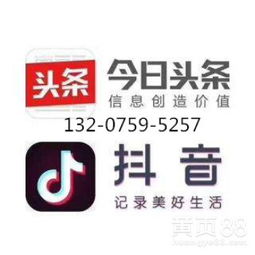 天津地区头条与抖音广告服务对接指南 高效触达与专业开发支持